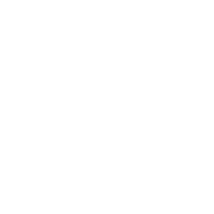 logo audi w