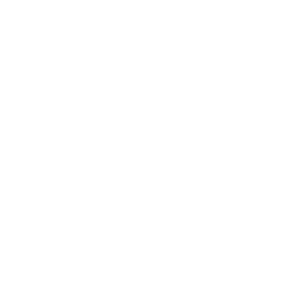 Markenwelt logo vw w