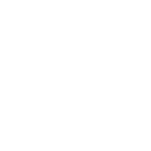 logo vw w