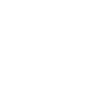 Markenwelt logo vwnfz w