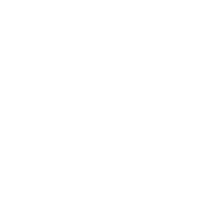 logo vwnfz w