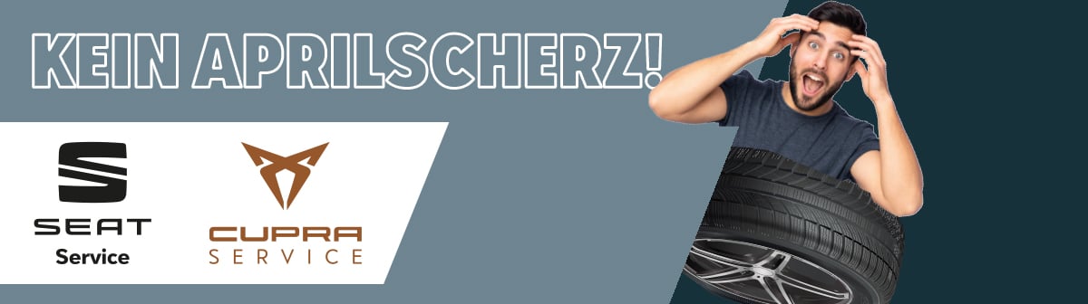 Header Homepage 3