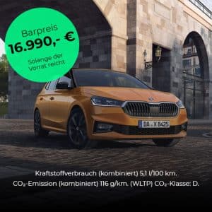 der perfekte einstieg der skoda fabia als tageszulassung