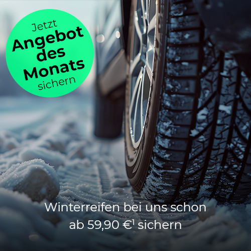 Titel Website 1