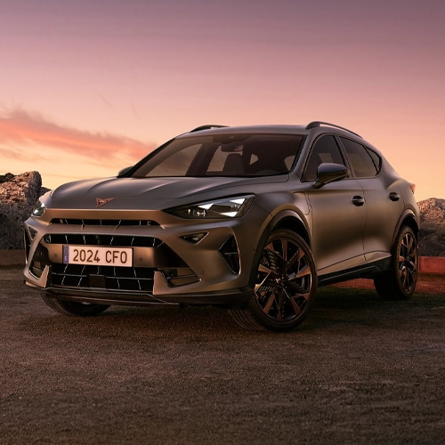 walter schneider cupra formentor
